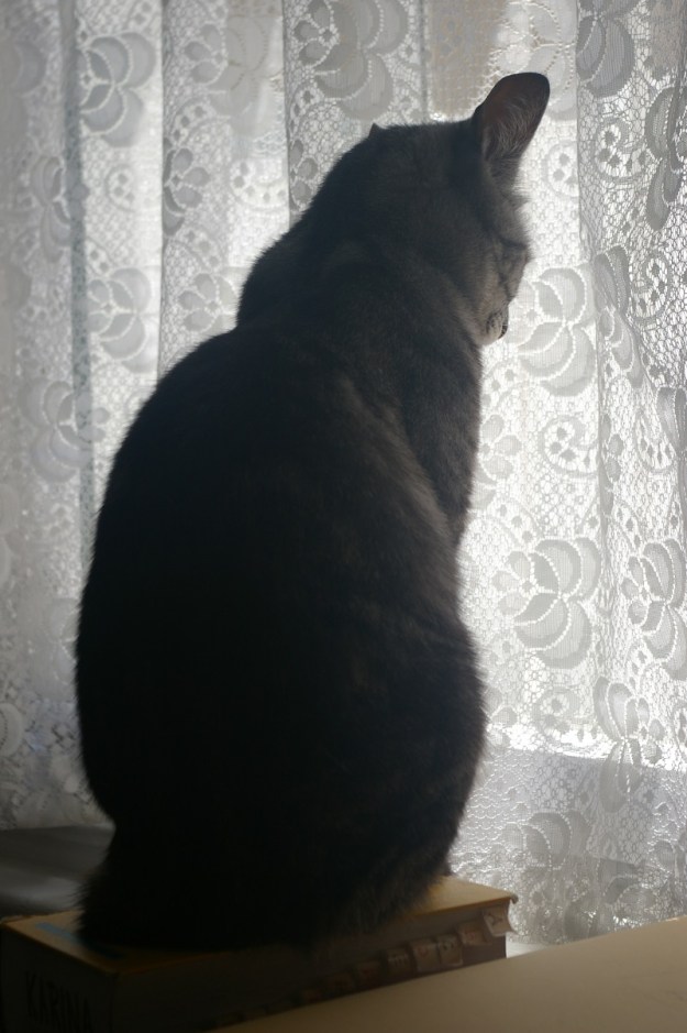 Glinka pondering a word she'd just looked up in a German-English dictionary