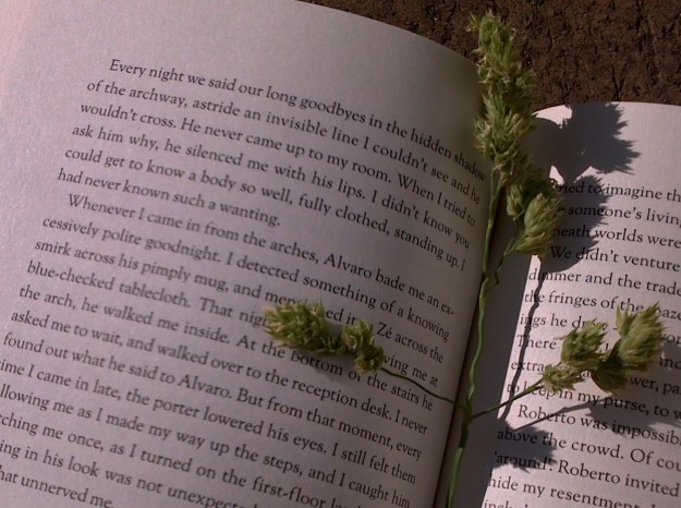 wanting_The Seed Thief