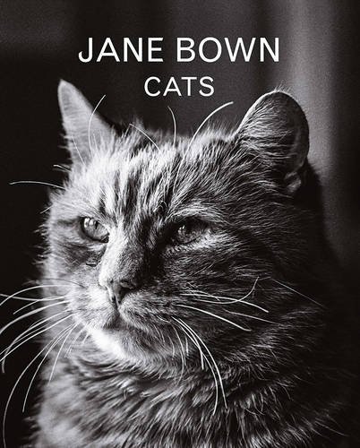 jane-bown-cats