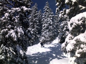 Hiking with Krystian