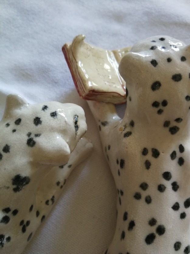 Snow leoprads reading