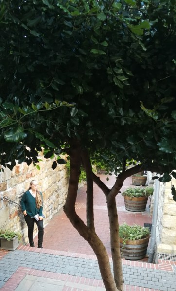 Audrey Rademeyer at the launch of Breaking Milk by dawn Garisch