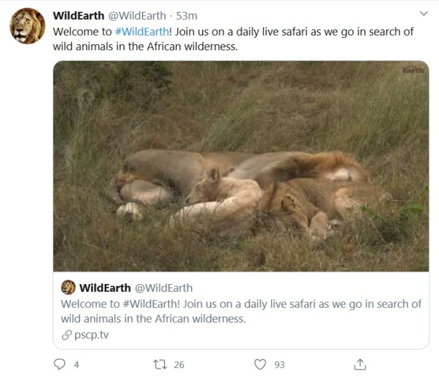 WildEarth2